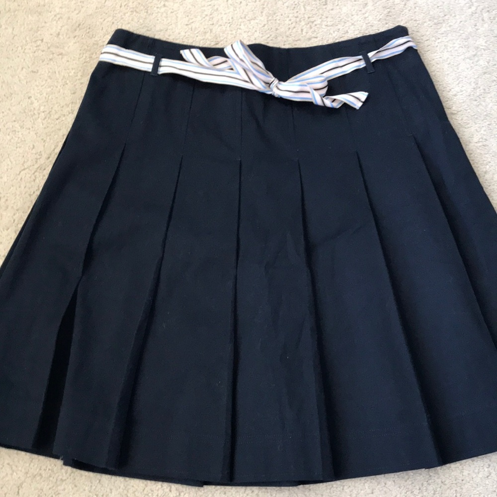 Ann Taylor navy blue pleated skirt